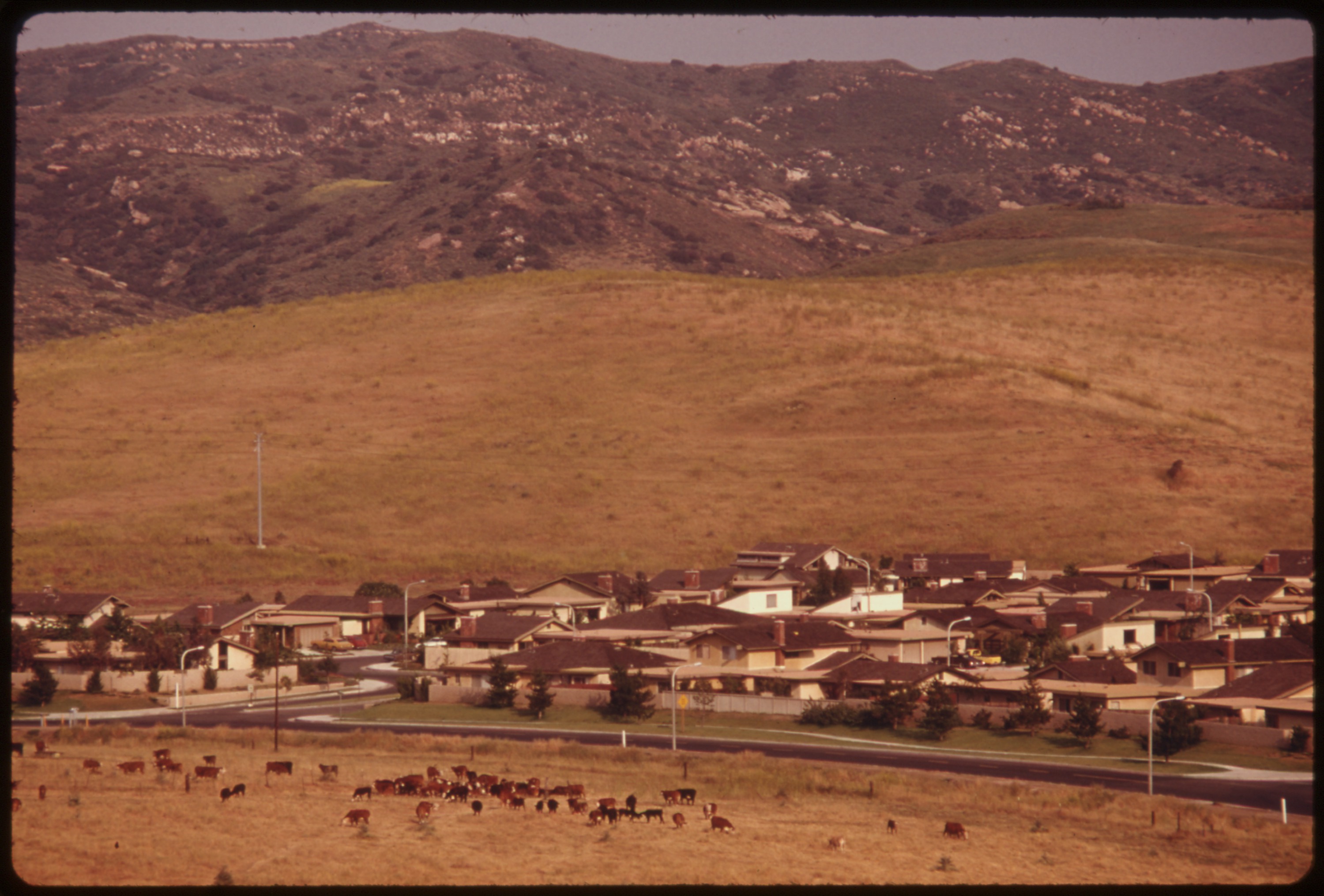 Residential development in the Irvine Ranch area photographed in 1975
